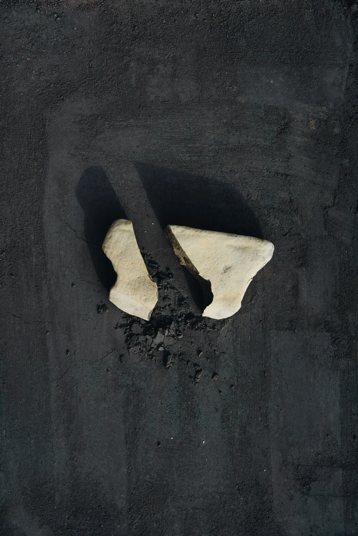 Two pale stone fragments resting on a dark textured surface
